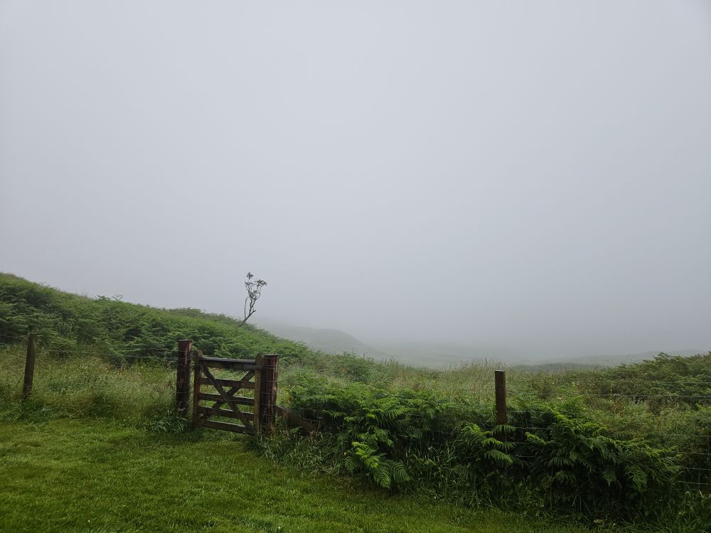 A photo of a landscape at Treshnish, on the west coast of the Island of Mull in the Scottish Hebrides. In the foreground is a green lawn bordered by a wire fence and small wooden gate. Beyond the gate is a lush green landscape of ferns and grasses, which in the middle distance quickly fades into soft grey. It's an overcast and misty evening, and we can't see very far. We certainly can't see the large field, massive rocky hill, Atlantic Ocean, and entire island chain, all of which are concealed in the mist.