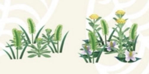 a screenshot of animal crossing weeds from late-spring: the ones that feature foxtails & dandelions 