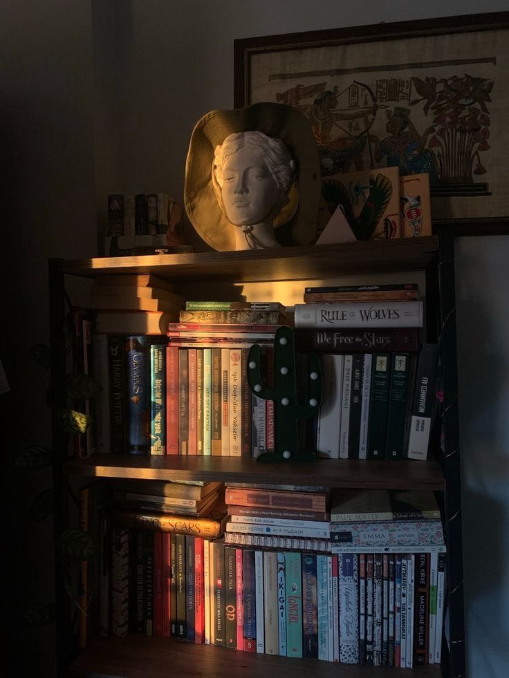 a wooden bookcase filled with an array of books, some placed correctly and some placed on their sides, with a ray of sunlight hitting it.