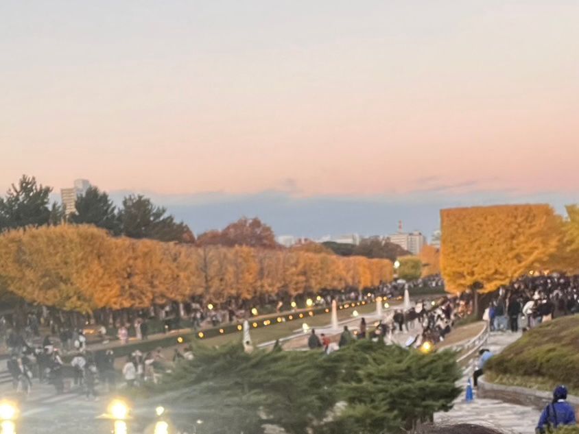 正面から写真撮っておけばよかった🤣