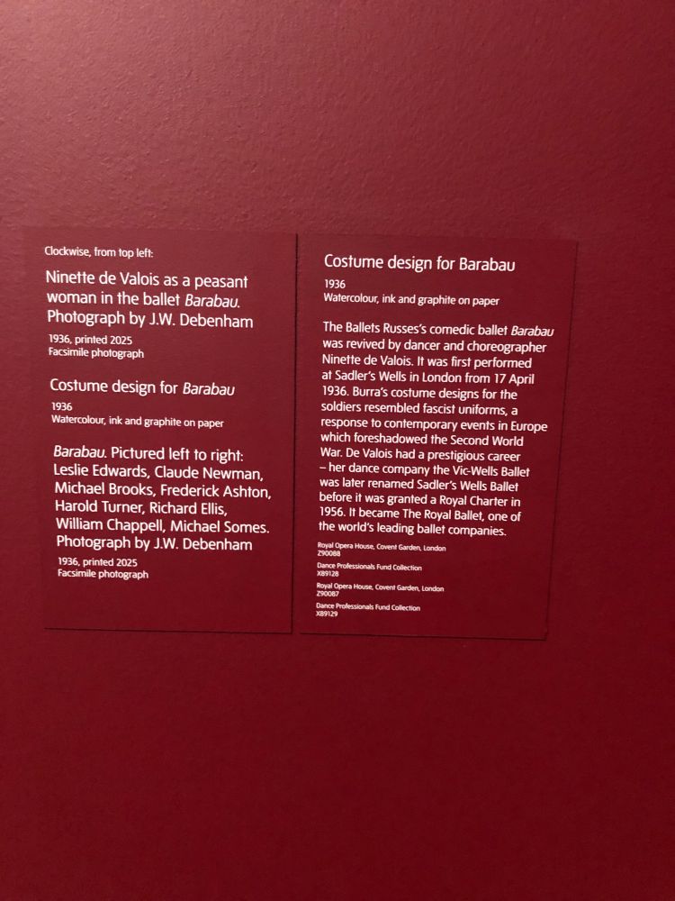 a gallery wall description of the aforementioned art works, going into further details about the works on show and their historical context