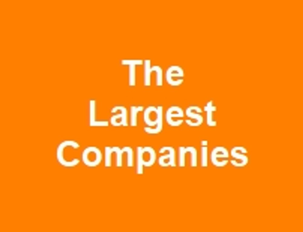 The Largest Companies