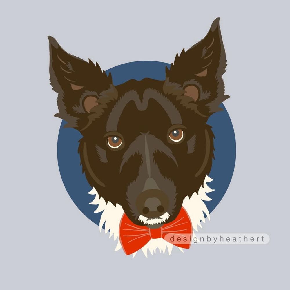 A black dog's head and ruff tilted to the side. He is very cute and is wearing a red bow. 