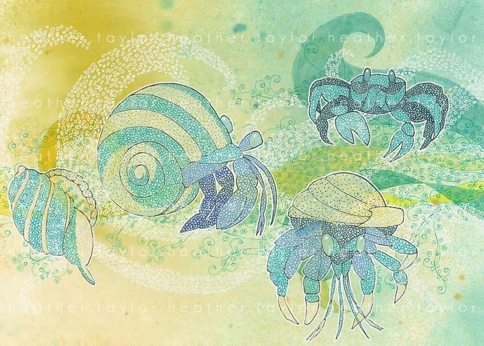 Two hermit crabs in swirly colored shells, one empty shell, and one shore crab. Vague translucent green-blue-golden wave shapes throughout.