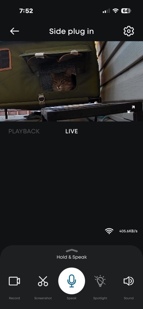 A tabby cat can just seen peeking out a door in his winter shelter, under the shelter’s awning. His breakfast bowls are closer to the camera, out to f view as I zoomed on his face