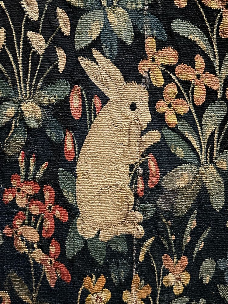 Bunny