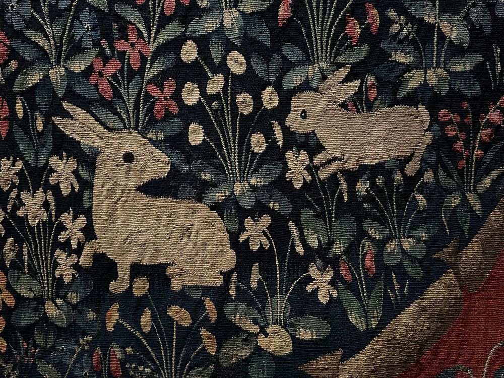 Bunnies