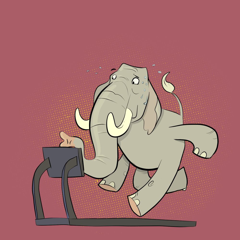 An elephant exercising on a treadmill. 