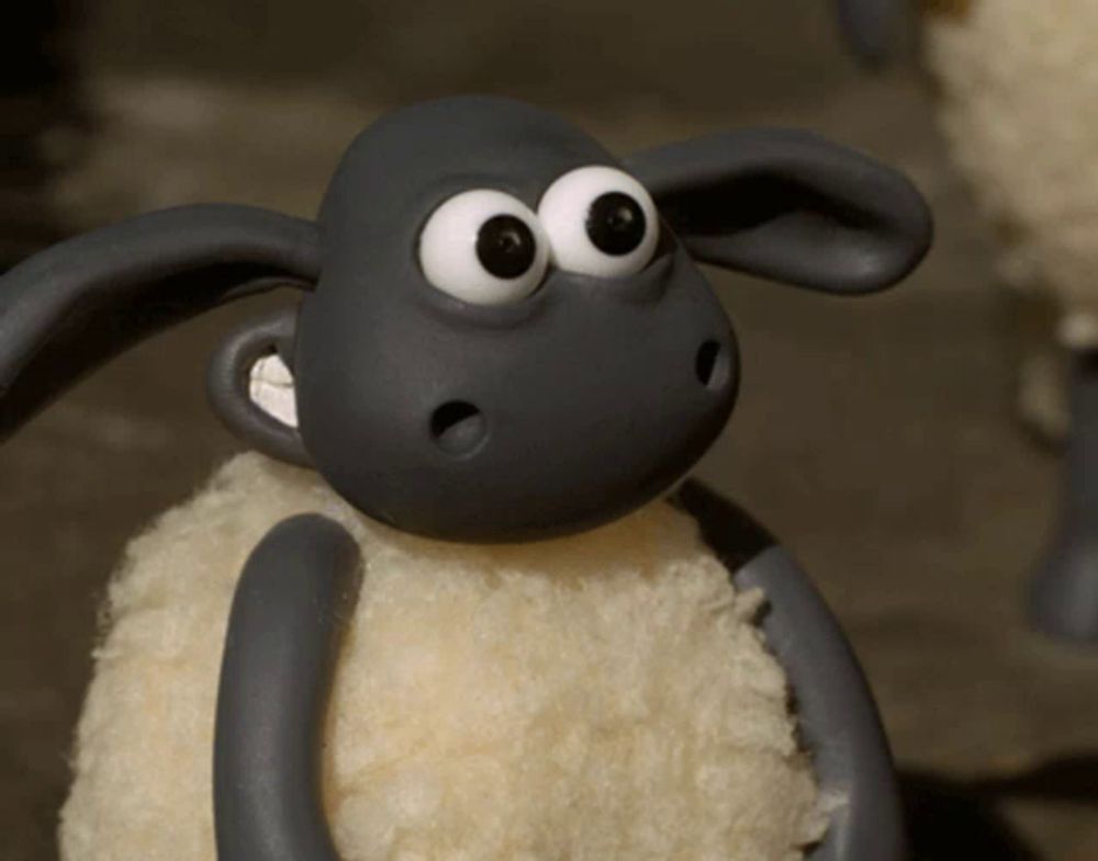 a close up of a sheep 's face with big eyes