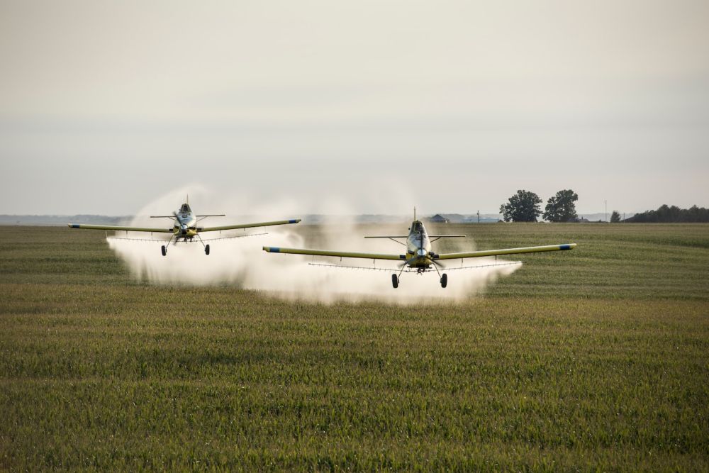 Opinion | Corn Belt fertilizer is killing the Gulf of Mexico. Can we stop it?