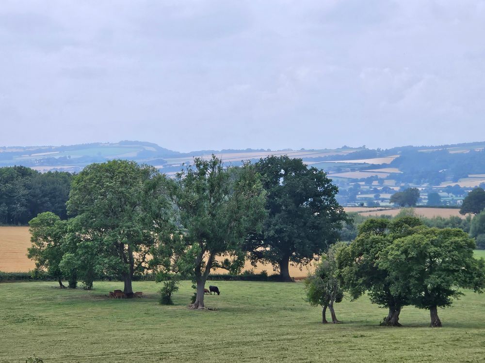 Photograph of the landscape of central Shropshire (UK). Looking across Corvedale towards Wenlock Edge