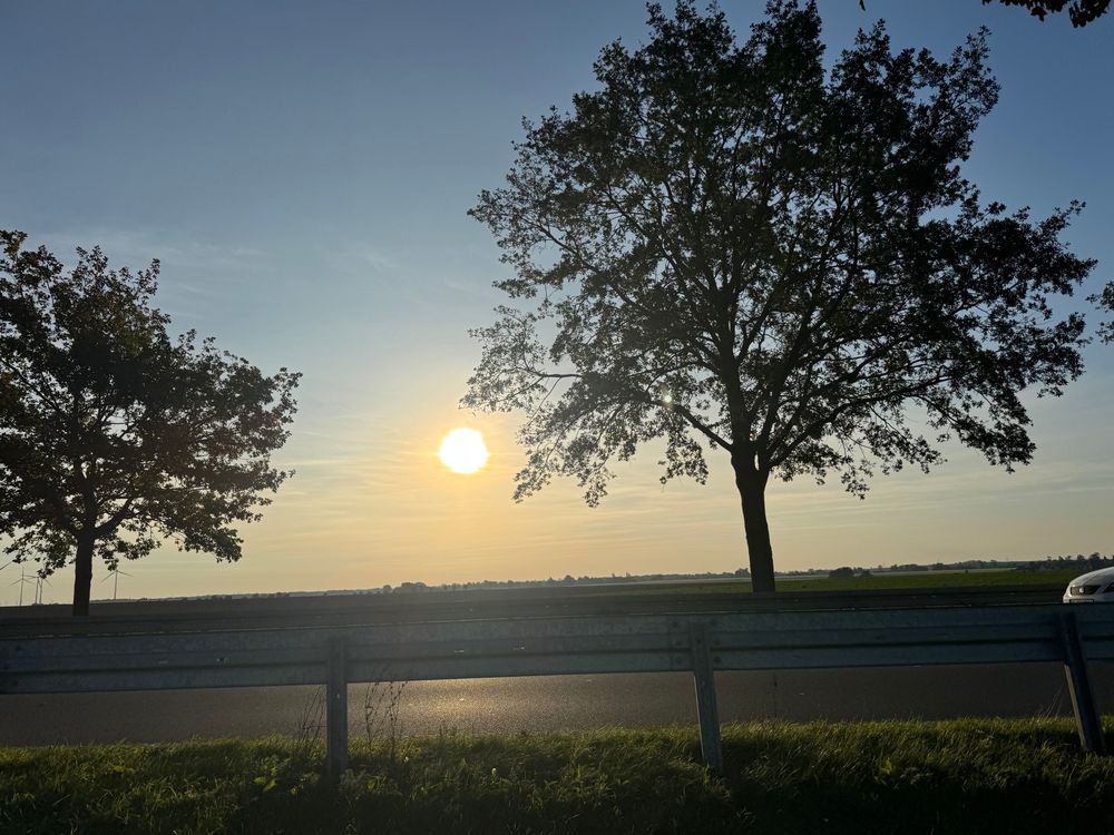 Leitplanke, Straße, Bäume, Sonne. 
