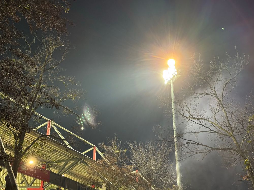 Flutlichtmast. Stadiondach. Bäume. 