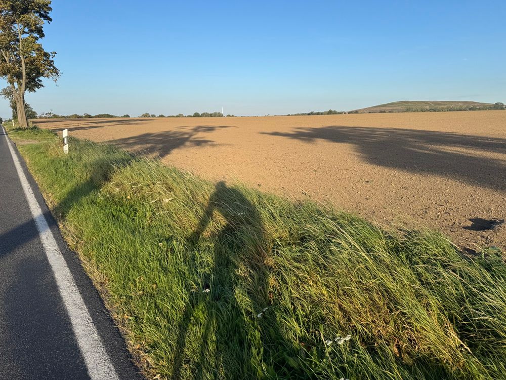 Asphalt links. Schatten eines Rennradfahrerd. Grünstreifen. Ackerfläche. Schutthalde von Zepernick im Hintergrund. 