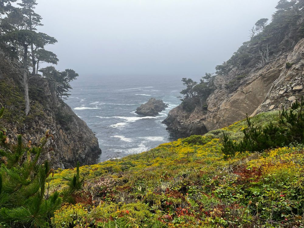 Coastal scene at Point Lobos