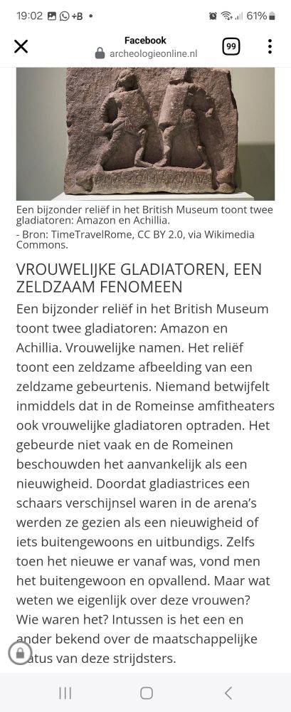 Screenshot van webpagina met de blurb van mijn artikel