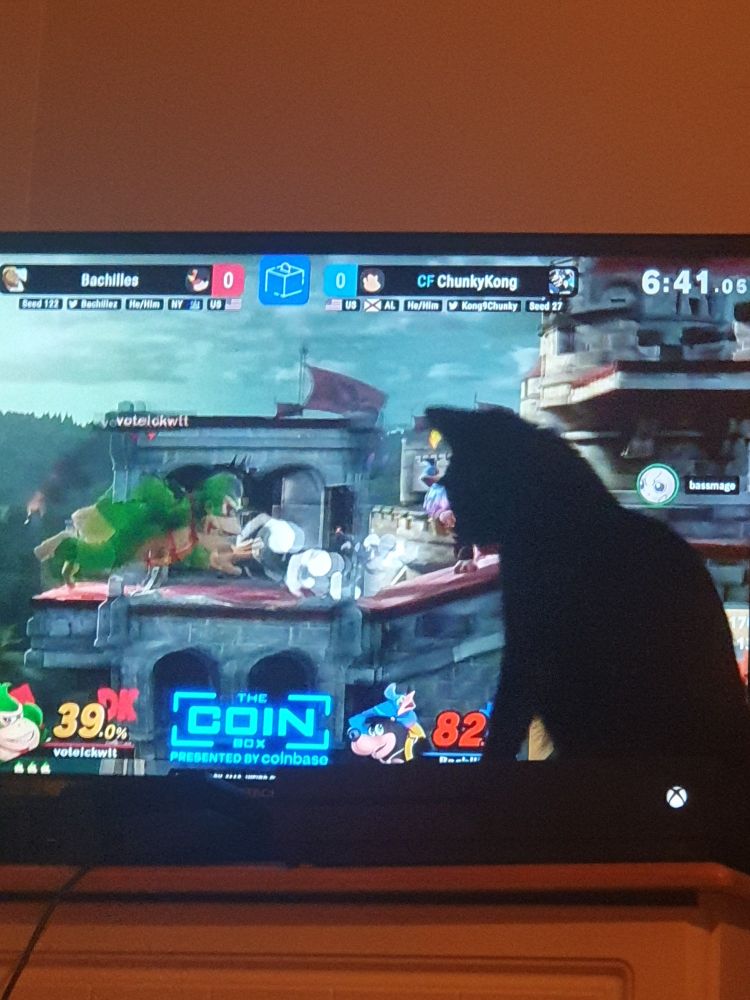 my cat watching hungrybox's new video of a smash brothers tournament