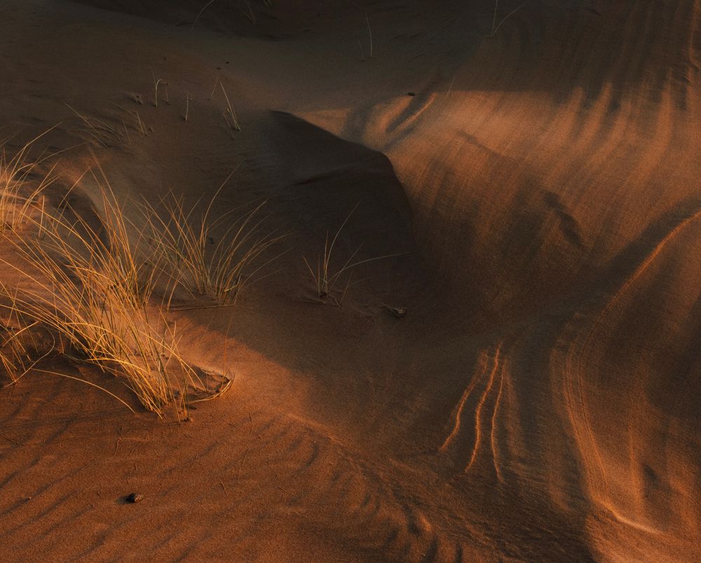 Pattern of shadows on sand dunes at sunset, with marram grass.