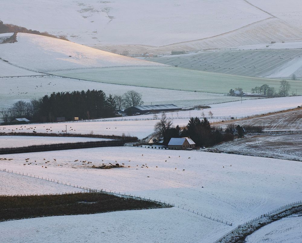 Pattern of fields & farm buildings in snow.
