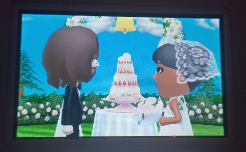 Mii Elendil and mii Míriel getting married