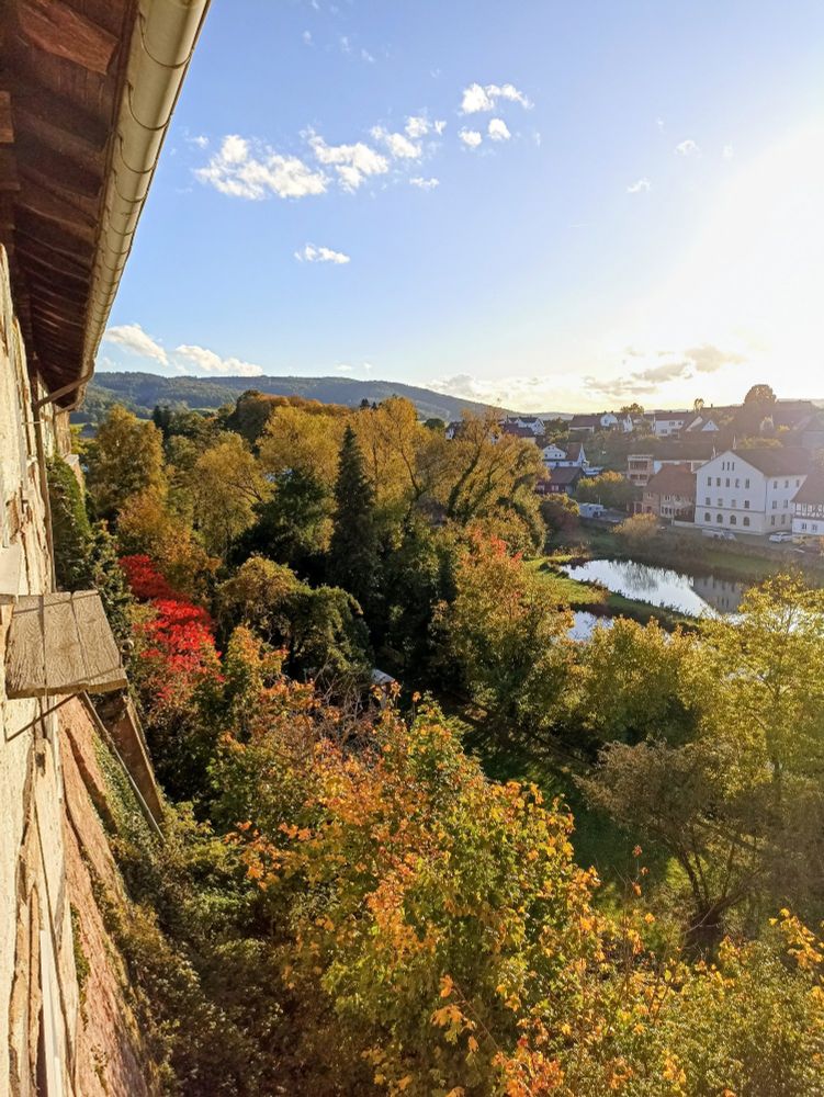 Blick auf eine Hauswand, bunt gefärbte Bäume, blauer Himmel 