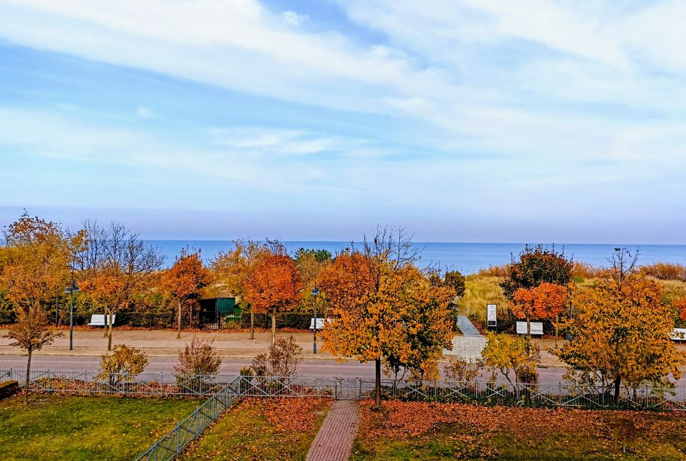 vorne eine Wiese, mittig Bäume mit gefärbtem Laub, dahinter die Ostsee, blauer Himmel 