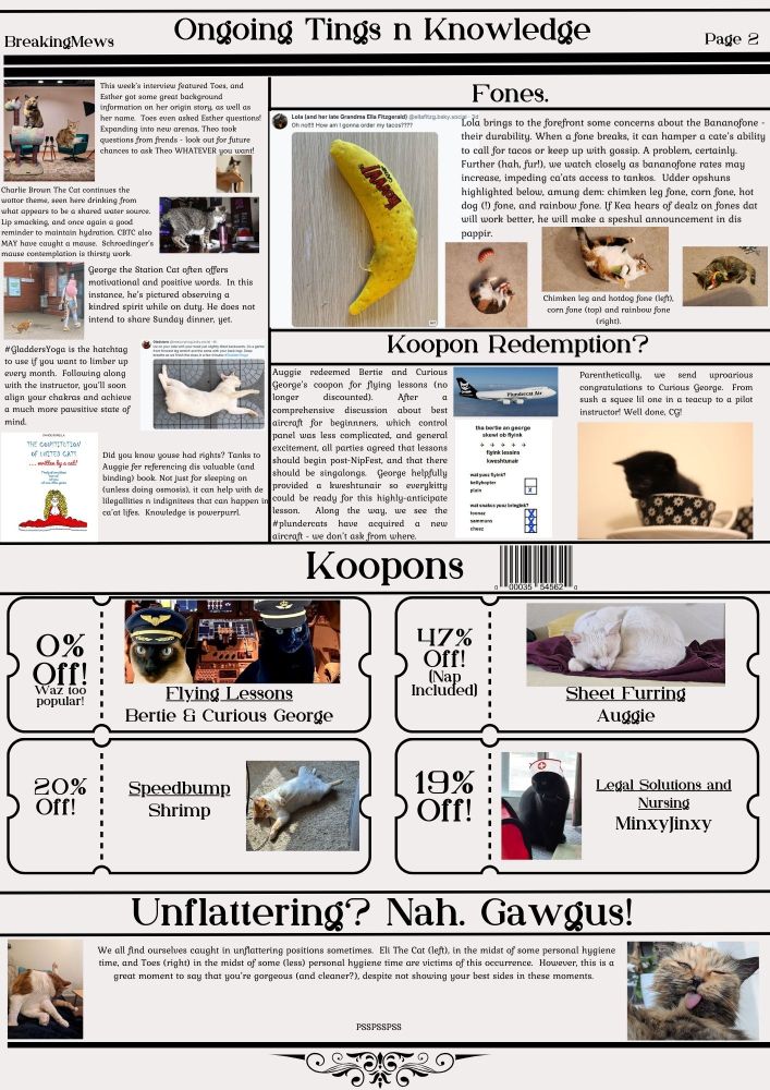 Page 2 of Breaking Mews - a cats of Bluesky news digest.