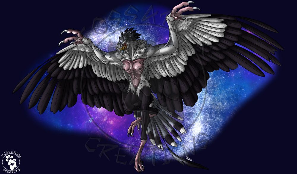 Full body of a harpy based on a secretary bird. The wings are spread open reminding those of feathered dinosaurs, the legs are long and the naked bird like stomach and chest share mammal traits showing flame breasts on the chest while keeping the light and pointy build of birds.