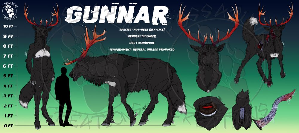 A reference sheet of a Not-Deer kind of creature with elk and wolf mixed traits showing the anthro, feral forms, an undead like form, a front headshot, eye detail and a close up of the bigender traits showing both feminine and masculine reproductive organs.