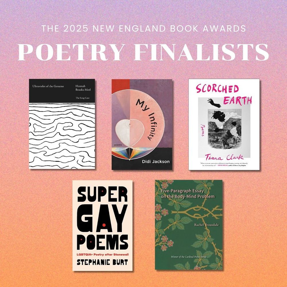 Pink and orange gradient background with the book covers of the five finalists for the New England Book Awards in the foreground.