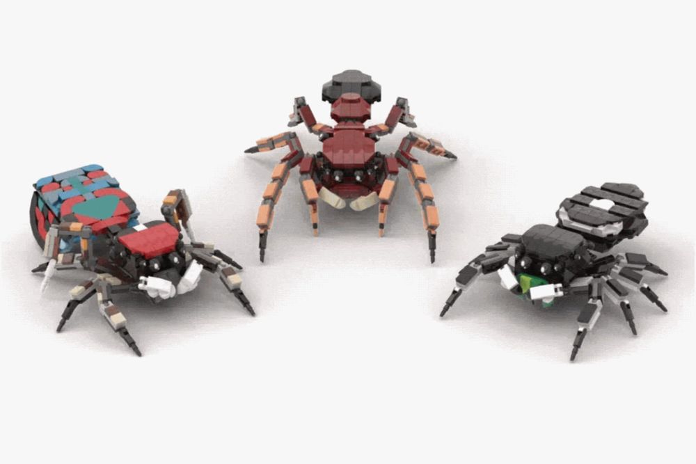 Jumping Spiders