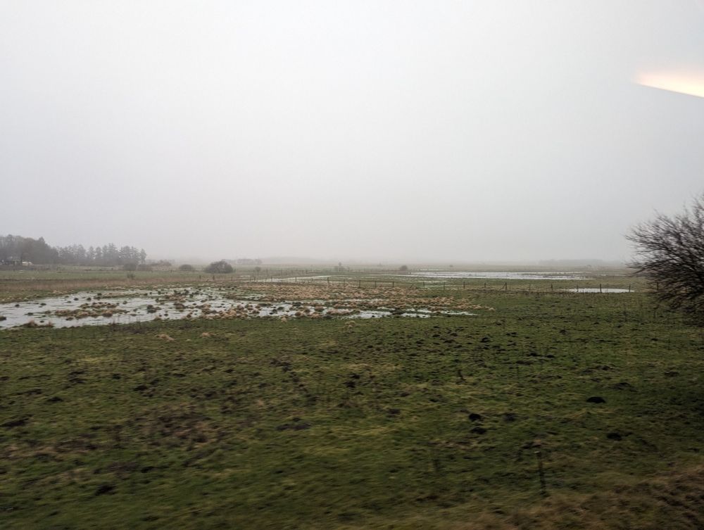Danish farmland, green grass, foggy  and rainy