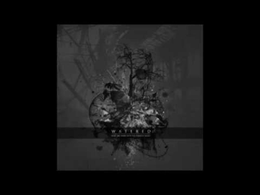 Watered - Vanitas