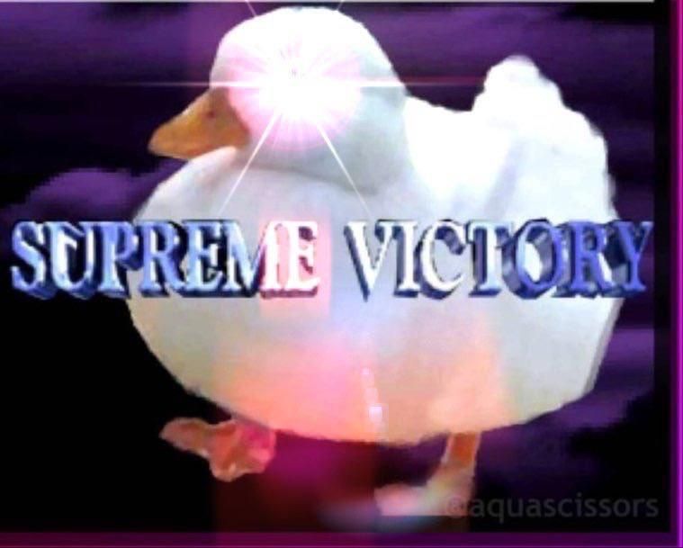 duck with a glowing eye
Text:
SUPREME VICTORY