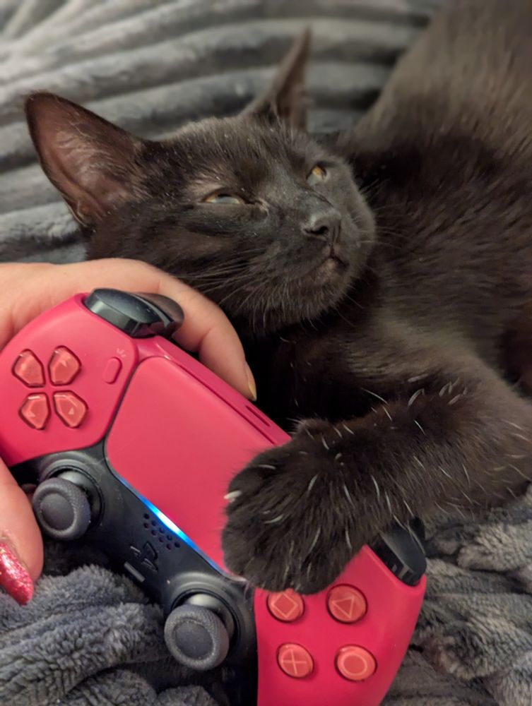 This photo shows a pink PlayStation 5 controller and a small black kitten, Rennala, holding onto the controller while her person plays a game. 