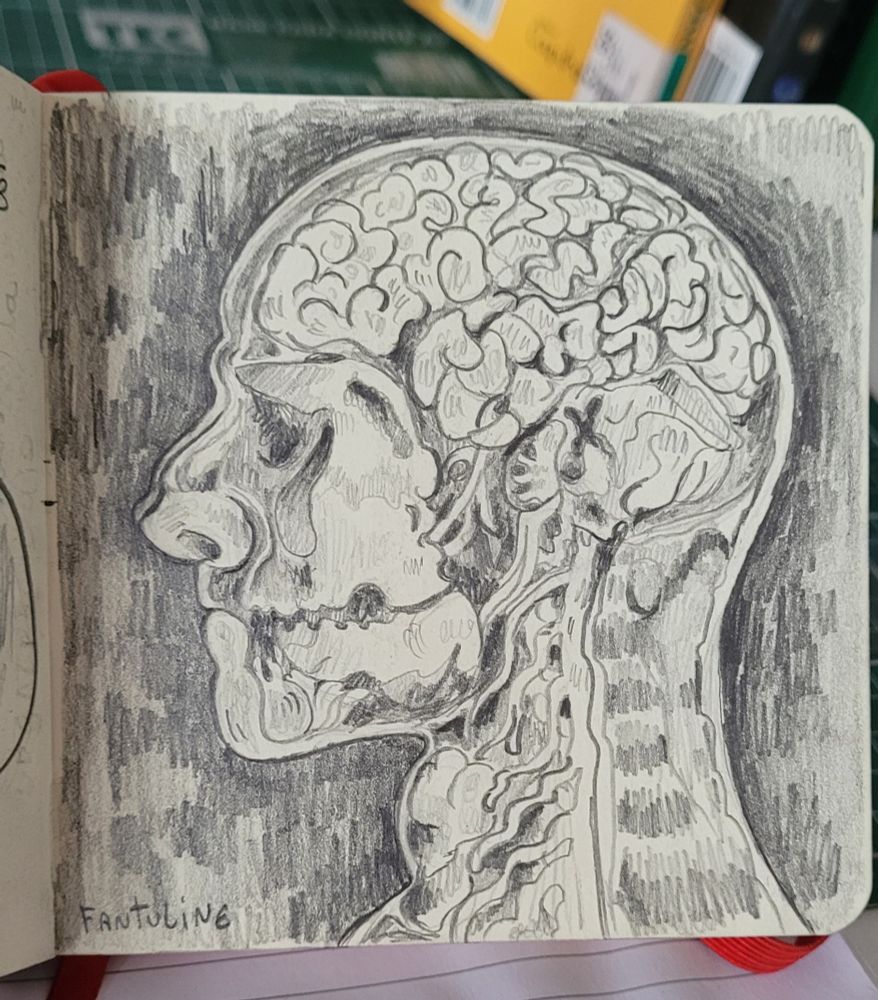 A Portrait perfil but i'm bald and it's inside me 