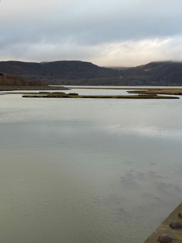 Blue grey river reflecting a dark grey sky. Raised islands of mud and rushes. Mist on distant dark mountains.