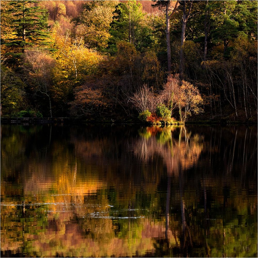 Beautiful light catching an island at the edge of a lake in Wales. Autumnal colours and lovely reflections.