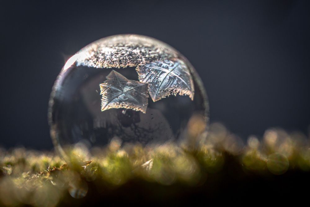 Auf einer Seifenblase, die auf Moos liegt, haben sich Eiskristalle in Sternform gebildet.