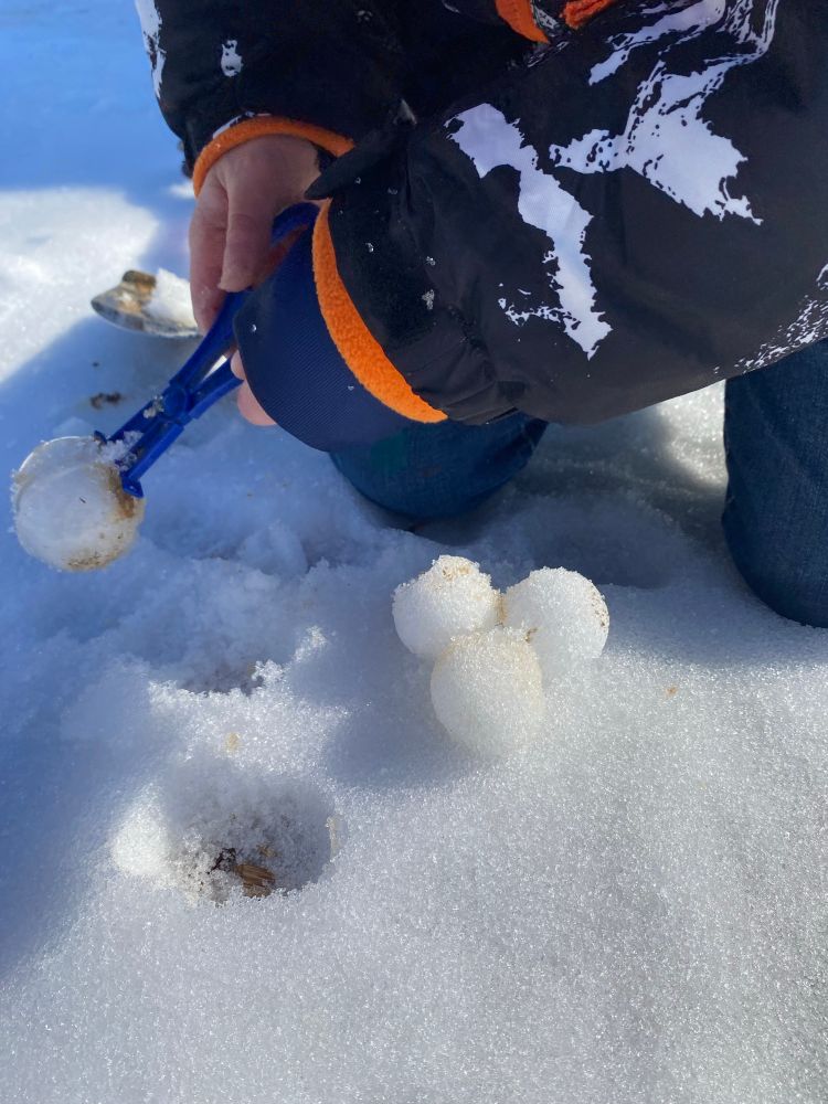 Making perfect snowballs with our bug catchers. 