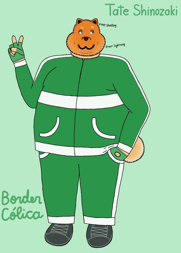 An overweight chow-chow in a green tracksuit