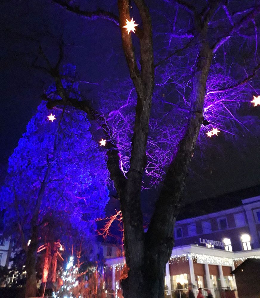 Arbres illuminés dans un marché de Noël alsacien