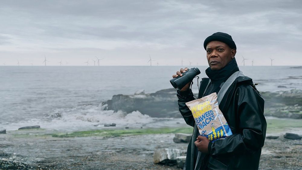 Samuel L. Jackson Wants You to Eat Seaweed (and Back Wind Farms)