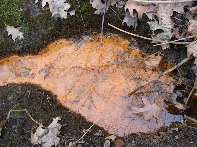 A photo of iron oxidizing bacteria visible in surface water with its reddish-brown color, 2006. Source: NH Estuaries Project, https://commons.wikimedia.org/wiki/File:Iron_bacteria_in_runoff.JPG