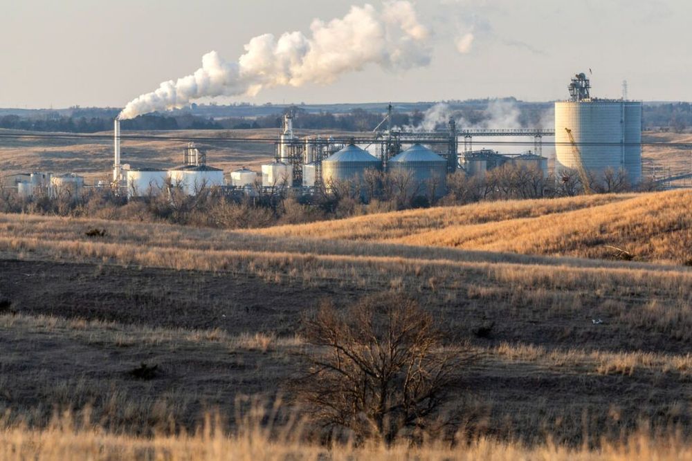 Biofuels Policy, a Mainstay of American Agriculture, Has Been a Failure for the Climate, a New Report Claims - Inside Climate News