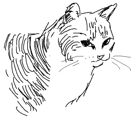 loose sketch of a little kitty cat. she is looking at you kind of mad