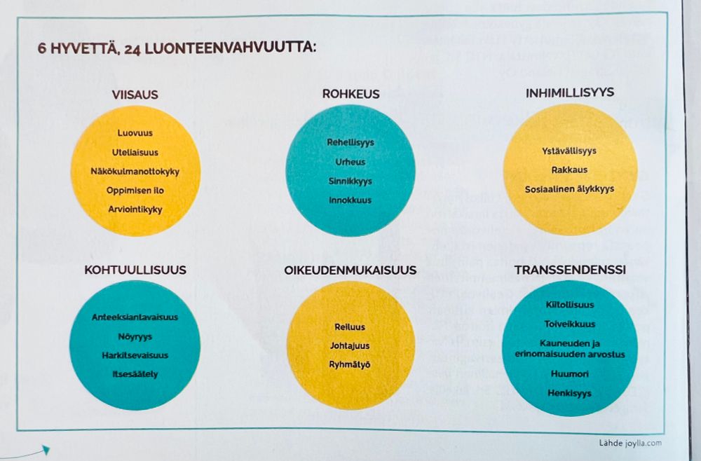 Kuusi hyvettä (viisaus, rohkeus, inhimillisyys, kohtuullisuus, oikeudenmukaisuus ja transsendenssi) pallokuvioin esitettynä ja alamääreinä 24 luonteenvahvuutta