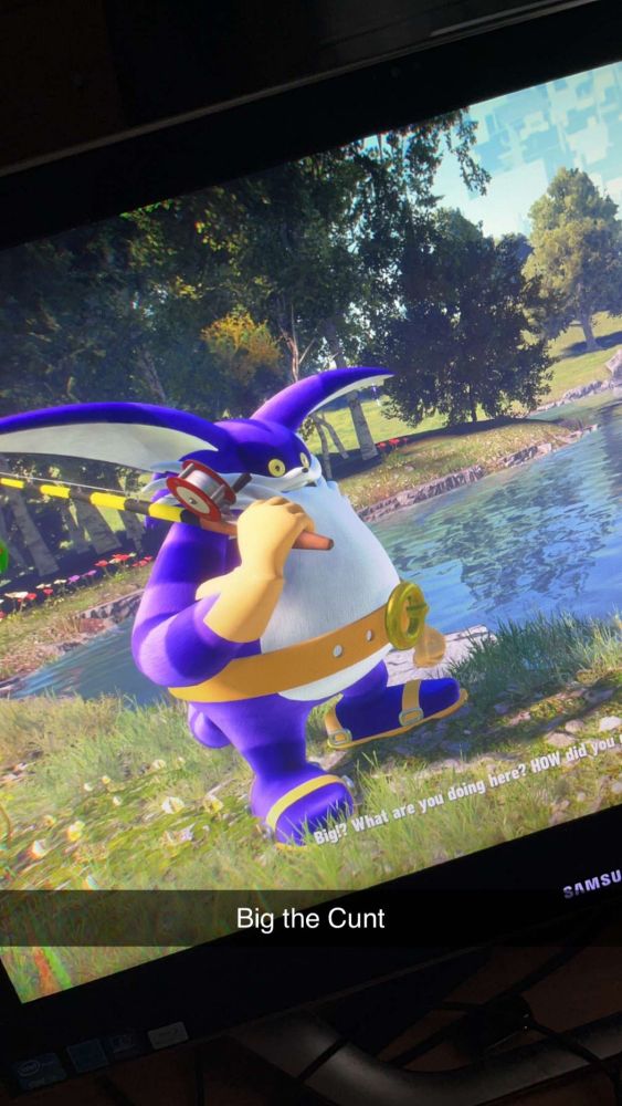 An image of Big The Cat in Sonic Frontiers with the caption Big the Cunt