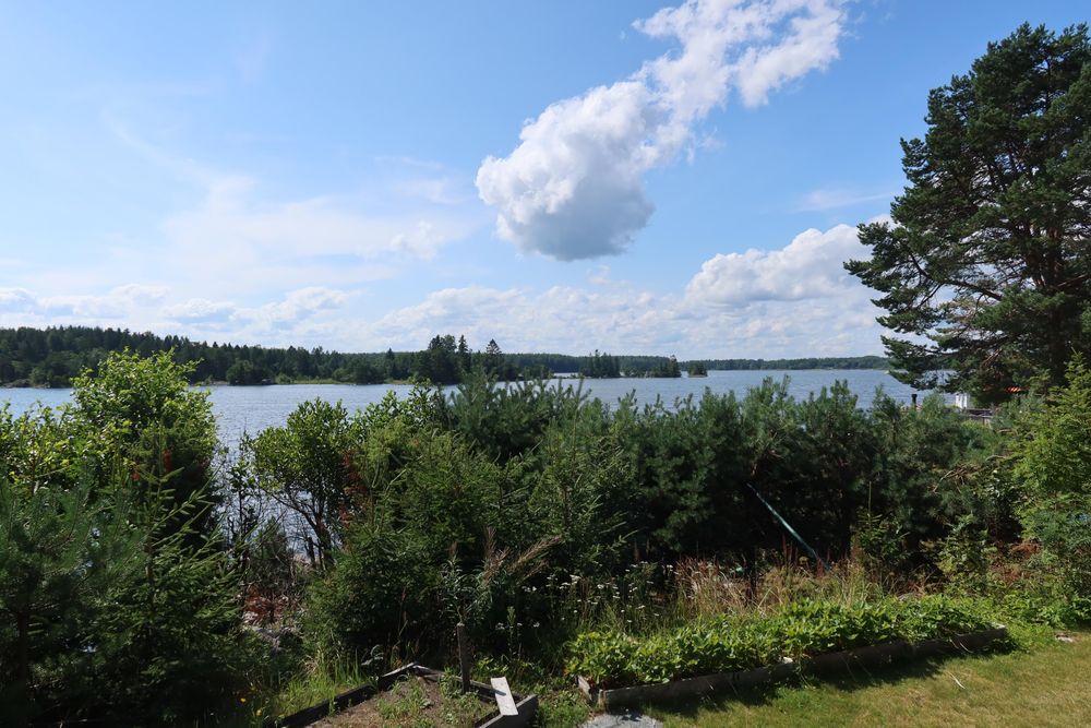 Trees and bushes. Blue sky with light clouds.