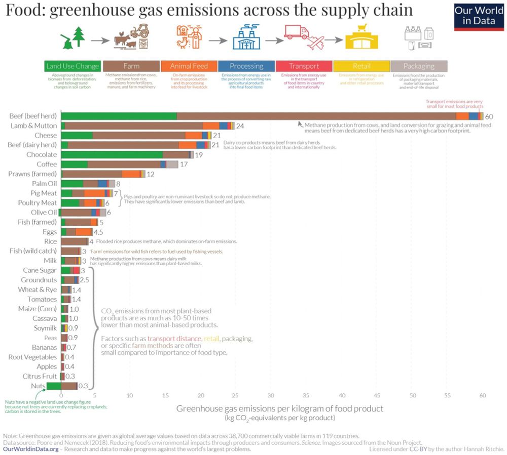 Grafik. Food: greenhouse gas emissions across the supply chain. Tierische Produkte gehen mit deutlich höheren Emissionen einher im Vergleich zu pflanzlichen Nahrungsmitteln.

Data Source: Joseph Poore & Thomas Nemecek (2018). Reducing food's environmental impacts through producers and consumers. Science.